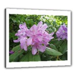 Purple Rhododendron Flower Canvas 24  x 20 