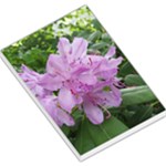 Purple Rhododendron Flower Large Memo Pads