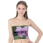 Purple Rhododendron Flower Tube Top