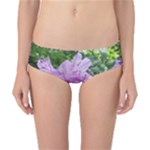 Purple Rhododendron Flower Classic Bikini Bottoms