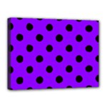 Polka Dots - Black on Violet Canvas 16  x 12  (Stretched)