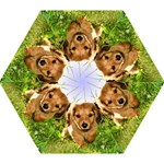 Puppy In Grass Mini Folding Umbrella