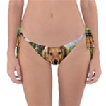 Puppy In Grass Reversible Bikini Bottom