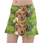 Puppy In Grass Tennis Skirt
