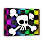 Checker Rainbow Skull Deluxe Canvas 16  x 12  (Stretched) 