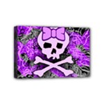 Purple Girly Skull Mini Canvas 6  x 4  (Stretched)