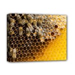 Honeycomb With Bees Deluxe Canvas 14  x 11  (Stretched)