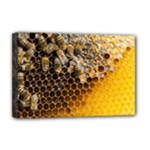 Honeycomb With Bees Deluxe Canvas 18  x 12  (Stretched)