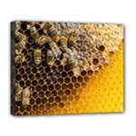 Honeycomb With Bees Deluxe Canvas 20  x 16  (Stretched)