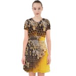 Honeycomb With Bees Adorable in Chiffon Dress