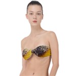 Honeycomb With Bees Classic Bandeau Bikini Top 