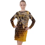 Honeycomb With Bees Long Sleeve Hoodie Dress