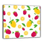 Strawberry Lemons Fruit Canvas 24  x 20  (Stretched)