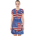 usa-map-and-flag-on-cement-wall-texture-background-design-1591646654pet Adorable in Chiffon Dress