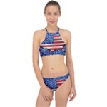 Usa-map-and-flag-on-cement-wall-texture-background-design-1591646654pet Racer Front Bikini Set