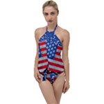 Usa-map-and-flag-on-cement-wall-texture-background-design-1591646654pet Go with the Flow One Piece Swimsuit