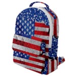 Usa-map-and-flag-on-cement-wall-texture-background-design-1591646654pet Flap Pocket Backpack (Small)