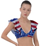 Usa-map-and-flag-on-cement-wall-texture-background-design-1591646654pet Plunge Frill Sleeve Bikini Top