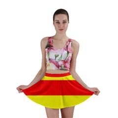 Mini Skirt Skirt Front Mini Skirt Skirt Front