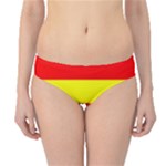 Aust Agder Flag Hipster Bikini Bottoms