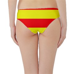 Hipster Bikini Bottoms 