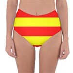 Aust Agder Flag Reversible High-Waist Bikini Bottoms