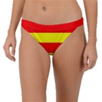 Aust Agder Flag Band Bikini Bottom