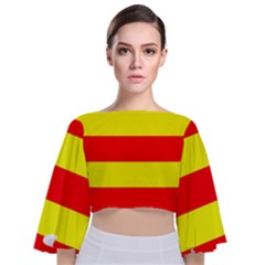 Tie Back Butterfly Sleeve Chiffon Top 