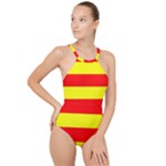 Aust Agder Flag High Neck One Piece Swimsuit