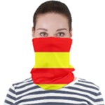 Aust Agder Flag Face Seamless Bandana (Adult)