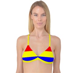 Reversible Tri Bikini Top 