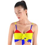 Budapest Flag Woven Tie Front Bralet