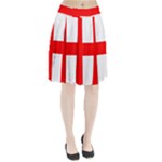 Bologna Flag Pleated Skirt