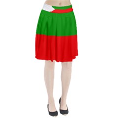 Avar People Pleated Skirt from UrbanLoad.com