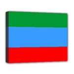 Dagestan Flag Deluxe Canvas 20  x 16  (Stretched)
