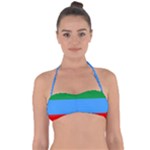 Dagestan Flag Halter Bandeau Bikini Top