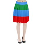 Dagestan Flag Pleated Skirt