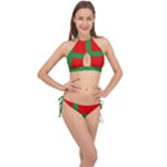 Bornholm Denmark Flag Cross Front Halter Bikini Set