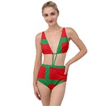 Bornholm Denmark Flag Tied Up Two Piece Swimsuit