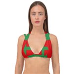 Bornholm Denmark Flag Double Strap Halter Bikini Top