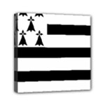 Brittany Flag Mini Canvas 6  x 6  (Stretched)