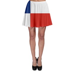 Skater Skirt 
