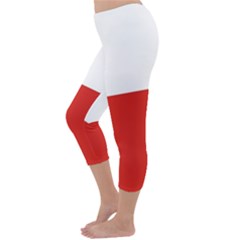 Capri Winter Leggings Back Capri Winter Leggings Back