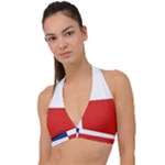 Banskobystricky Flag Halter Plunge Bikini Top