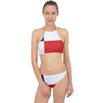 Banskobystricky Flag Racer Front Bikini Set