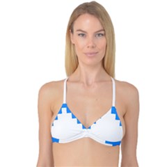 Reversible Tri Bikini Top 