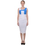 Akershus Flag Sleeveless Pencil Dress