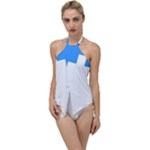 Akershus Flag Go with the Flow One Piece Swimsuit