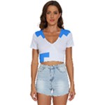 Akershus Flag V-Neck Crop Top