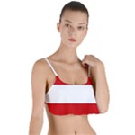 Austria Layered Top Bikini Top 